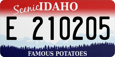 ID license plate E210205