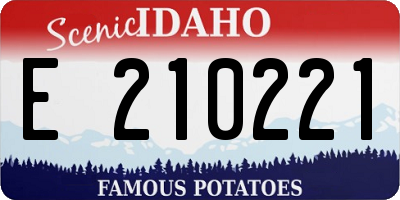 ID license plate E210221