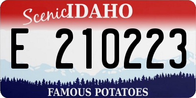 ID license plate E210223