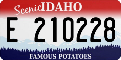 ID license plate E210228