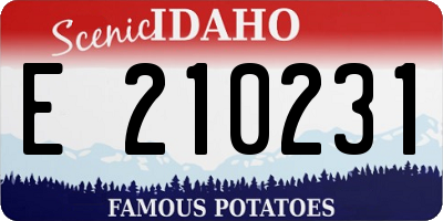 ID license plate E210231