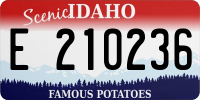 ID license plate E210236