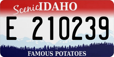 ID license plate E210239