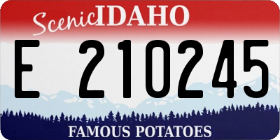ID license plate E210245