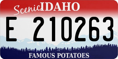 ID license plate E210263