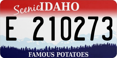 ID license plate E210273