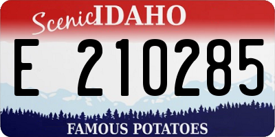ID license plate E210285
