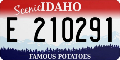 ID license plate E210291