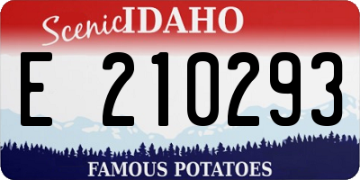 ID license plate E210293