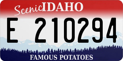 ID license plate E210294