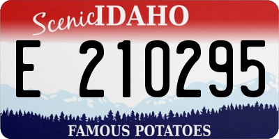 ID license plate E210295