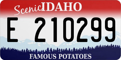 ID license plate E210299