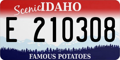 ID license plate E210308