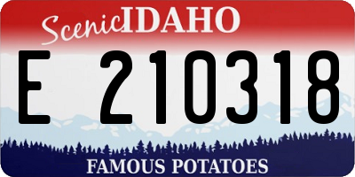 ID license plate E210318