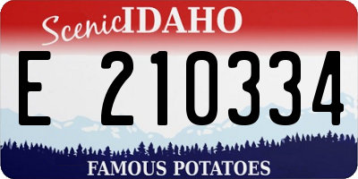 ID license plate E210334