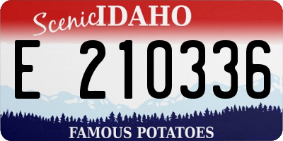 ID license plate E210336