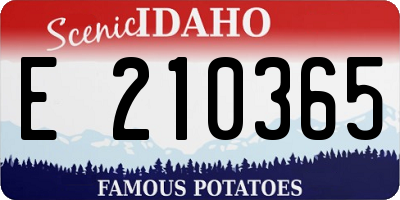 ID license plate E210365