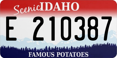 ID license plate E210387
