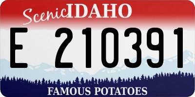 ID license plate E210391