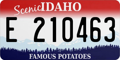 ID license plate E210463
