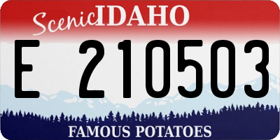 ID license plate E210503