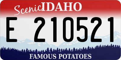 ID license plate E210521