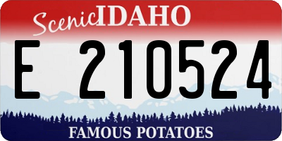ID license plate E210524