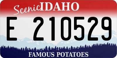 ID license plate E210529