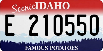 ID license plate E210550
