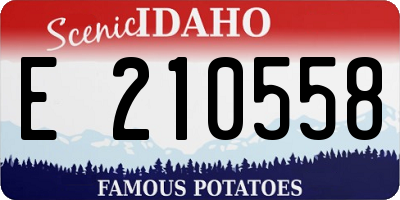 ID license plate E210558