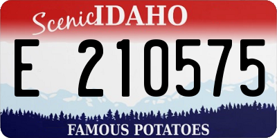 ID license plate E210575