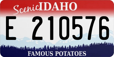 ID license plate E210576