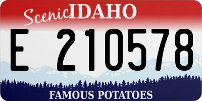 ID license plate E210578