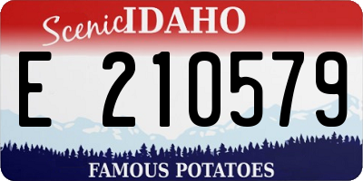 ID license plate E210579