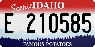 ID license plate E210585