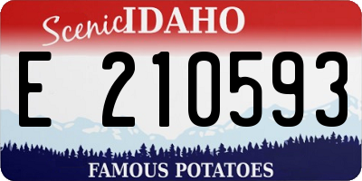 ID license plate E210593