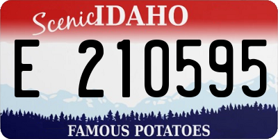 ID license plate E210595