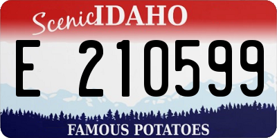 ID license plate E210599