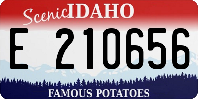 ID license plate E210656