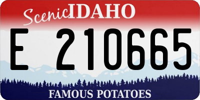 ID license plate E210665