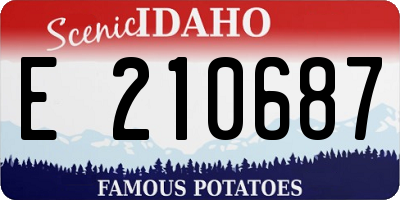 ID license plate E210687