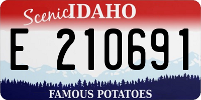 ID license plate E210691