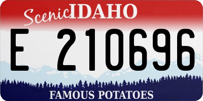 ID license plate E210696