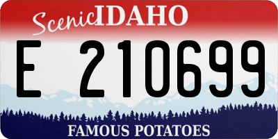 ID license plate E210699