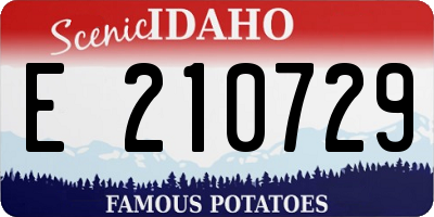 ID license plate E210729