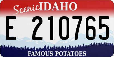 ID license plate E210765