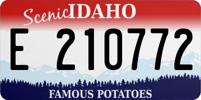 ID license plate E210772