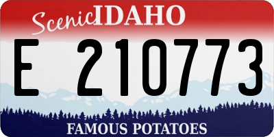 ID license plate E210773