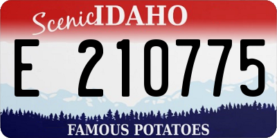 ID license plate E210775