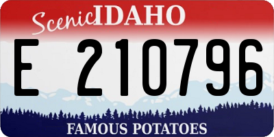 ID license plate E210796